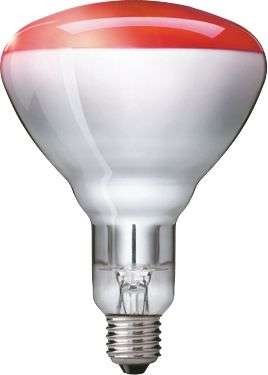  Лампа IR250RH BR125 230-250В E27 1CT/10 Philips 923212043801 / 871150057521025 