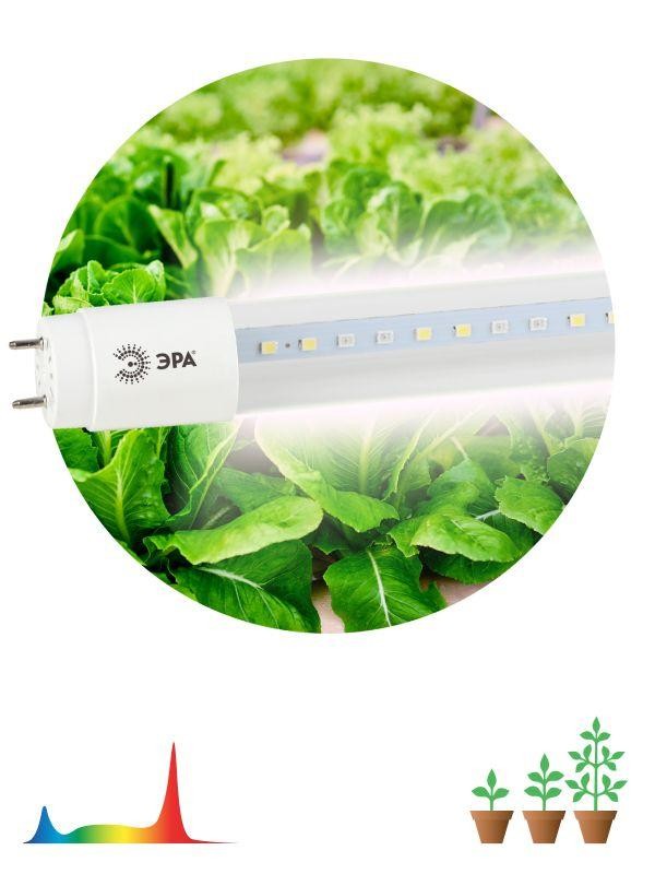  Лампа светодиодная для растений FITO-9W-Ra90-Т8-G13-NL Т8 9Вт 46LED 2835 красн. и бел. IP20 35000ч стекло полноспектральная ЭРА Б0042988 