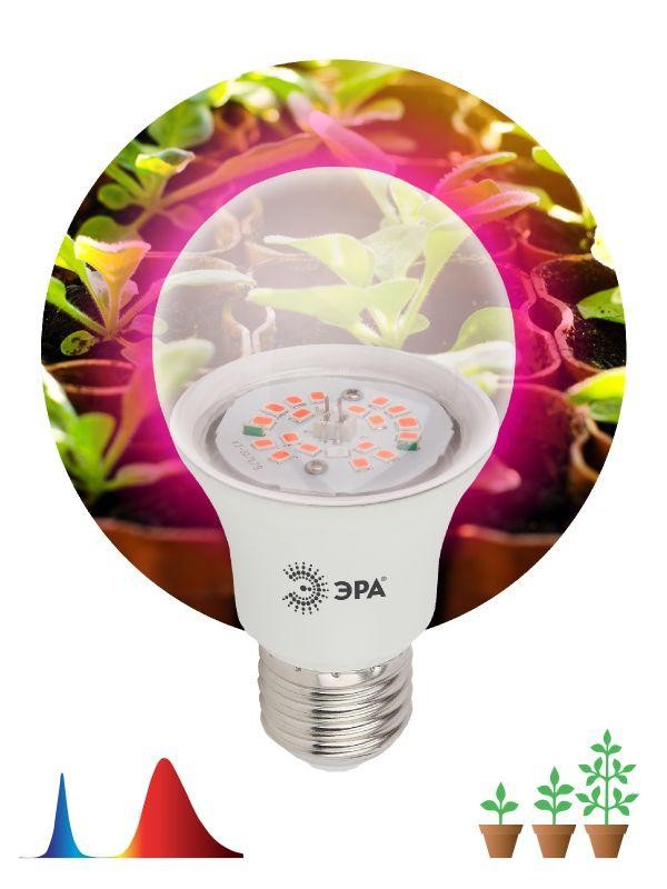  Лампа светодиодная для рассады FITO-14W-RB-E27-K А60 14Вт 220-240В красн./син. спектр ЭРА Б0039071 
