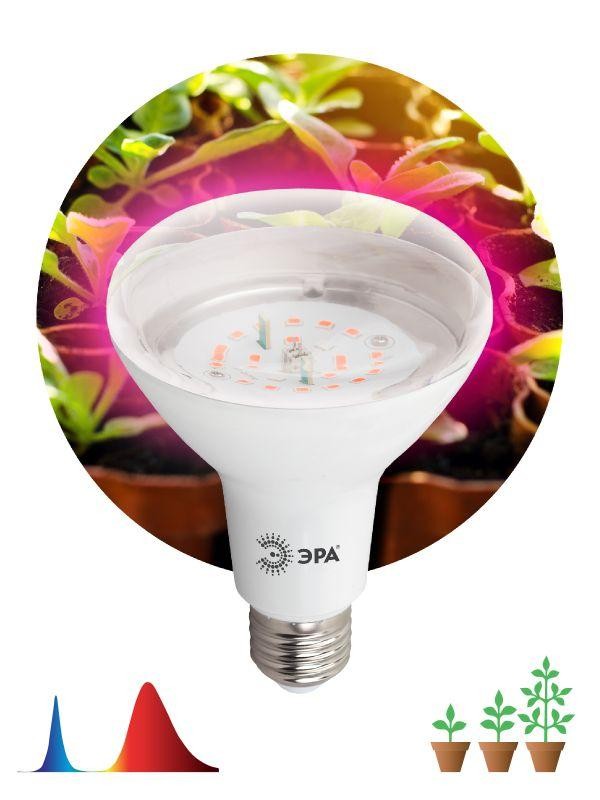  Лампа светодиодная для рассады FITO-16W-RB-E27-K А60 16Вт 220-240В красн./син. спектр ЭРА Б0039072 