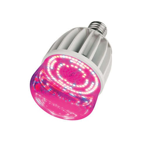  Лампа светодиодная ESL-LED-M80-20W SP E27/CL IP54 Uniel 11098 