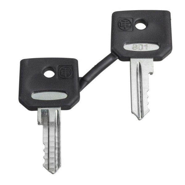  Ключ №455 с защ. колпачком SchE ZBG455P 