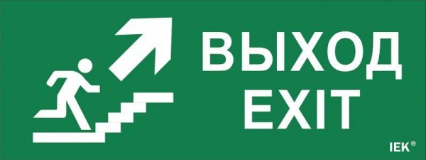  Этикетка самоклеящаяся "Выход/лестница вверх/фигура" ДПА IP20/54 ИЭК LPC10-1-24-09-VLVVF 