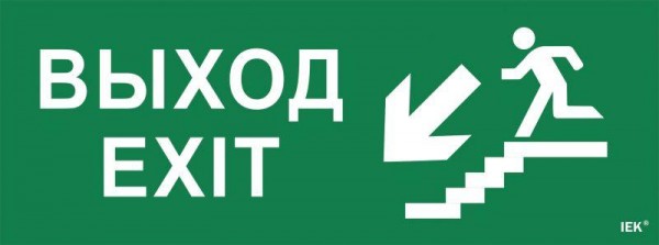  Этикетка самоклеящаяся "Выход/лестница вниз/фигура" ССА 1005 ИЭК LPC10-1-35-13-VLVNF 
