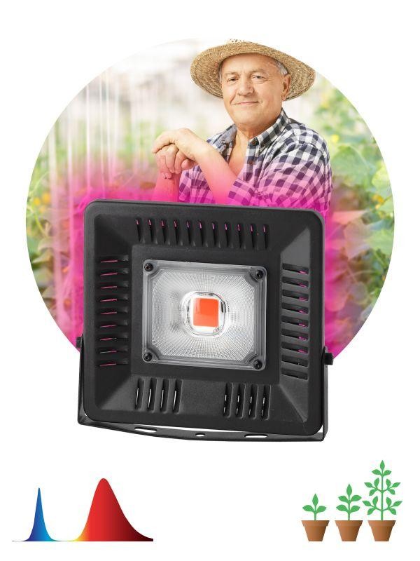  Прожектор для растений FITO-50W-LED BLUERED 50Вт IP65 220-240В -30град. до + 45град. 30000ч ЭРА Б0039033 