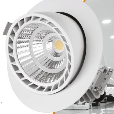  Светильник светодиодный Downlight 170х140 30Вт 4000К 1/12 поворотный круглый 40град. VARTON V1-R0-00059-10R03-2003040 