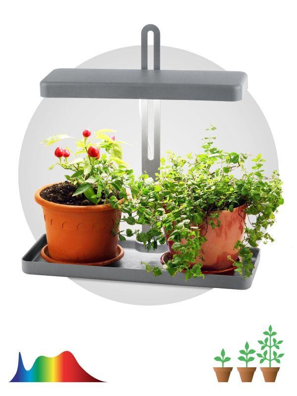  Светильник для растений FITO-20W-QLED-G 20Вт 220-240В 3500К IP40 +1град. до +35град.С 30000ч настол. ЭРА Б0039035 