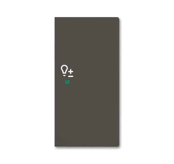  Клавиша двойная правая SRD-2-R-95 free@home светорегулятор Basic 55 chateau-черн. ABB 2CKA006220A0696 