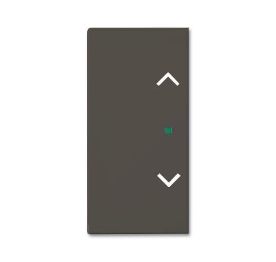  Клавиша двойная SRB-2-95 free@home жалюзи Basic 55 chateau-черн. ABB 2CKA006220A0693 