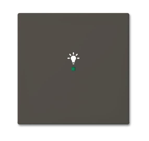  Клавиша одинарная SRL-1-95 free@home освещение Basic 55 chateau-черн. ABB 2CKA006220A0687 