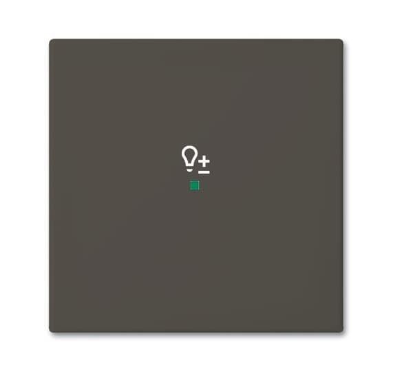  Клавиша одинарная SRD-1-95 free@home светорегулятор Basic 55 chateau-черн. ABB 2CKA006220A0690 