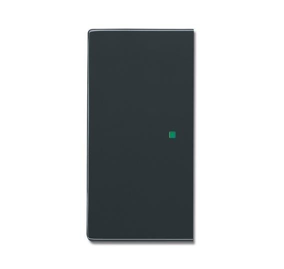  Клавиша двойная SR-2-81 free@home future антрацит ABB 2CKA006220A0152 