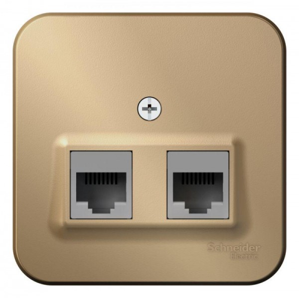  Розетка компьютерная 2-м ОП BLANCA RJ45 кат.5e изол. пласт. титан SchE BLNIA045454 