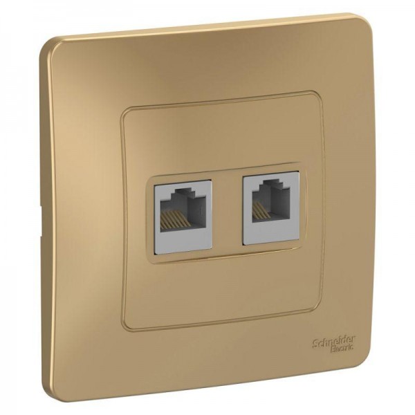  Розетка компьютерная + телеф. 2-м СП BLANCA RJ45 кат.5e + RJ11 титан SchE BLNIS045114 