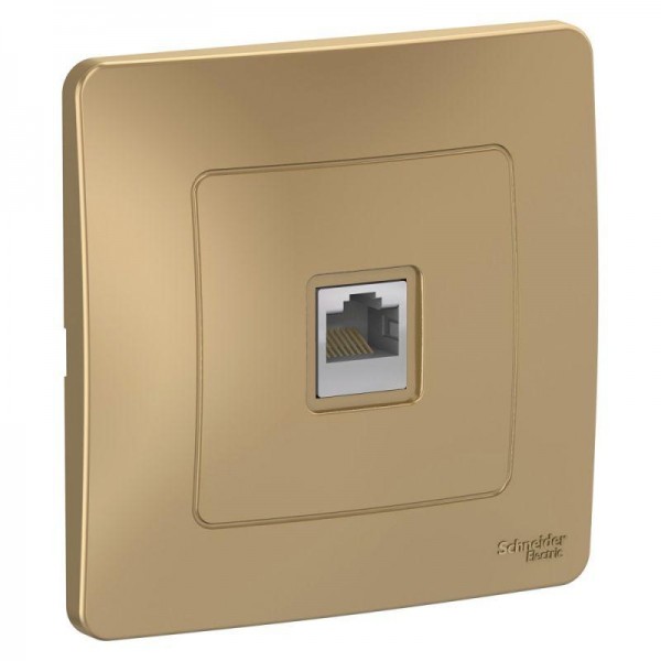  Розетка компьютерная 1-м СП BLANCA RJ45 кат.5e титан SchE BLNIS045004 