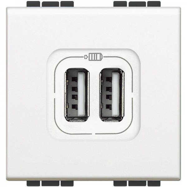  Разъем LL для зарядки 2хUSB бел. Leg BTC N4285C2 