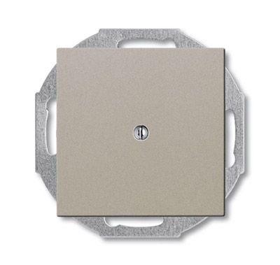  Заглушка с суппортом Basic 55 шампань ABB 2CKA001715A0314 
