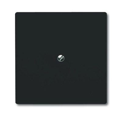  Заглушка с суппортом (IP44) Allwetter 44 антрацит ABB 2CKA001710A1928 
