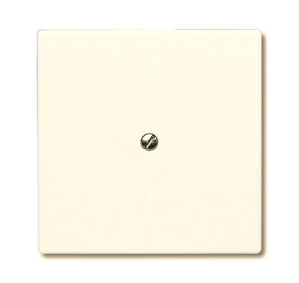  Заглушка с суппортом (IP44) Allwetter 44 сл. кость ABB 2CKA001710A2264 