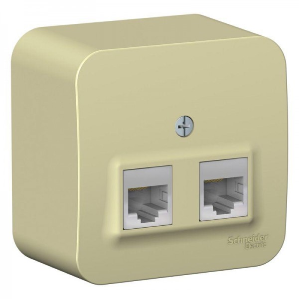  Розетка компьютерная 2-м ОП BLANCA RJ45 кат.5e изол. пласт. беж. SchE BLNIA045457 