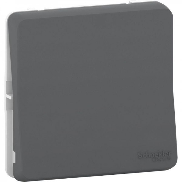  Механизм переключателя 1-кл. СП Mureva Styl 10А IP55 (сх. 6) антрацит SchE MUR37021 