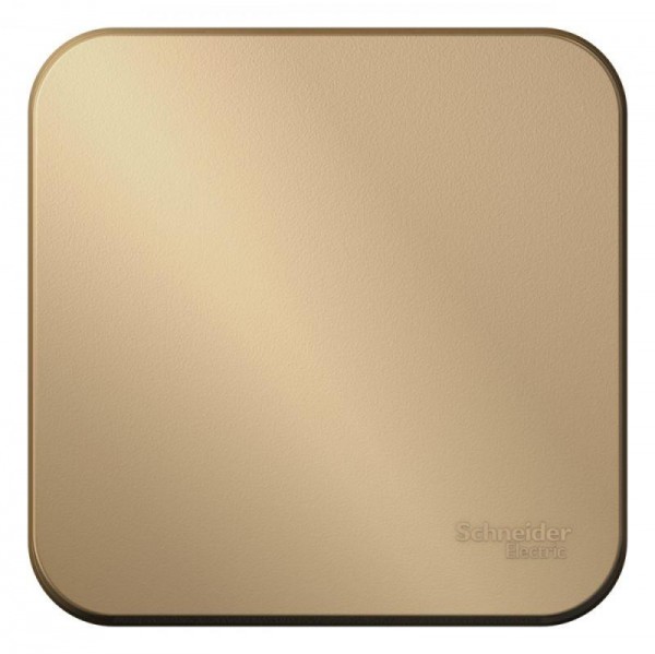  Выключатель 1-кл. ОП Blanca 10А IP20 (сх. 1) 250В с изолир. пластиной титан SchE BLNVA101014 