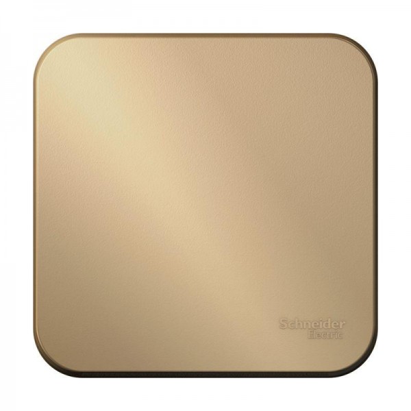  Выключатель 1-кл. ОП Blanca 10А IP20 (сх. 1) 250В титан SchE BLNVA101004 