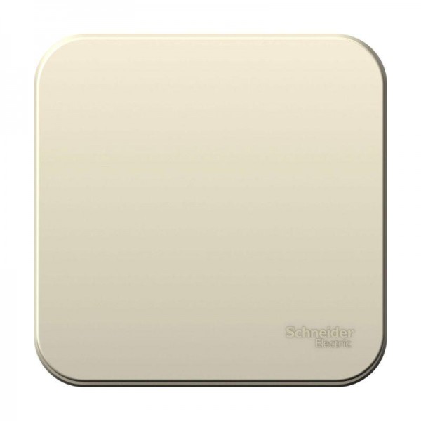  Выключатель 1-кл. ОП Blanca 6А IP20 (сх. 1) 250В с изолир. пластиной молочн. SchE BLNVA061012 