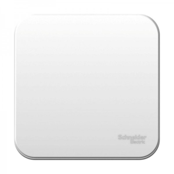  Выключатель 1-кл. ОП Blanca 6А IP20 (сх. 1) 250В с изолир. пластиной бел. SchE BLNVA061011 