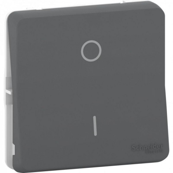  Механизм переключателя 1-кл. 2п СП Mureva Styl 16А IP55 антрацит SchE MUR35034 