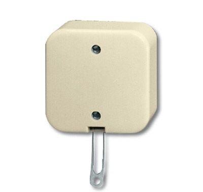  Переключатель ОП Busch-Duro 2000 AP 10А IP20 со шнурком сл. кость ABB 2CKA001343A0136 