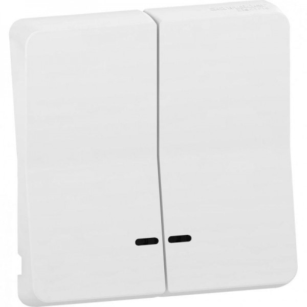  Клавиша двойная 2-кл. Mureva Styl 10А IP55 с линзой подсветки бел. SchE MUR39205 