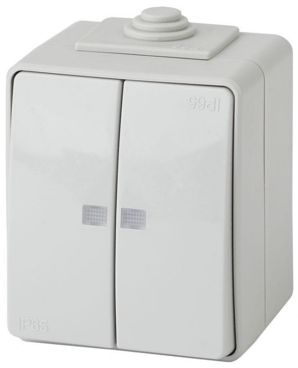  Выключатель 2-кл. ОП Эра Эксперт 10А IP65 11-1605-03 250В 10AX с подсветкой сер. Эра Б0035977 