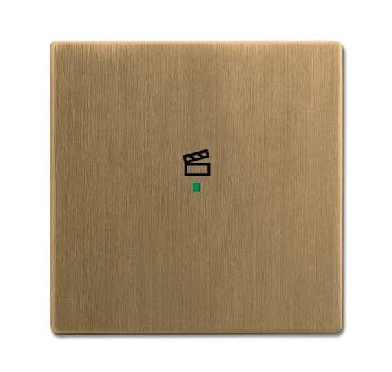  Клавиша одинарная сцена латунь ант. ABB 2CKA006220A0374 