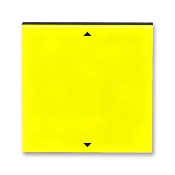  Элемент управляющий Busch-Jalousiecontrol®II ABB Levit с маркировкой желт. / дым. черн. ABB 2CHH700110A4064 