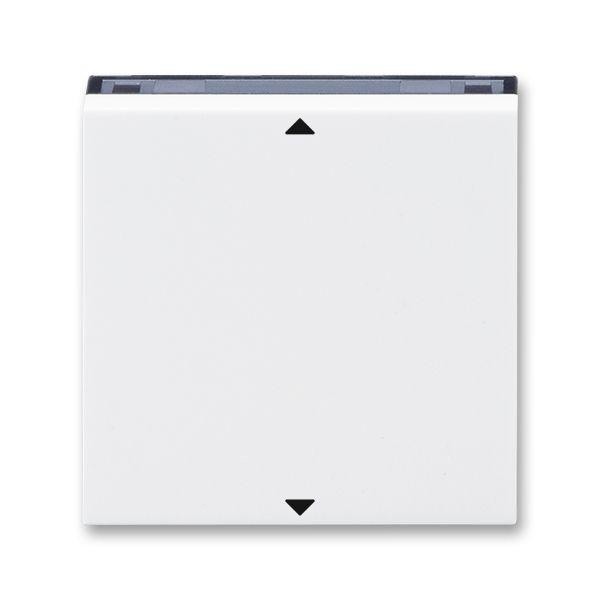  Элемент управляющий Busch-Jalousiecontrol®II ABB Levit с маркировкой бел. / дым. черн. ABB 2CHH700110A4062 