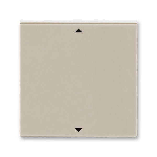  Элемент управляющий Busch-Jalousiecontrol®II ABB Levit с маркировкой кофе макиато / бел. ABB 2CHH700110A4018 