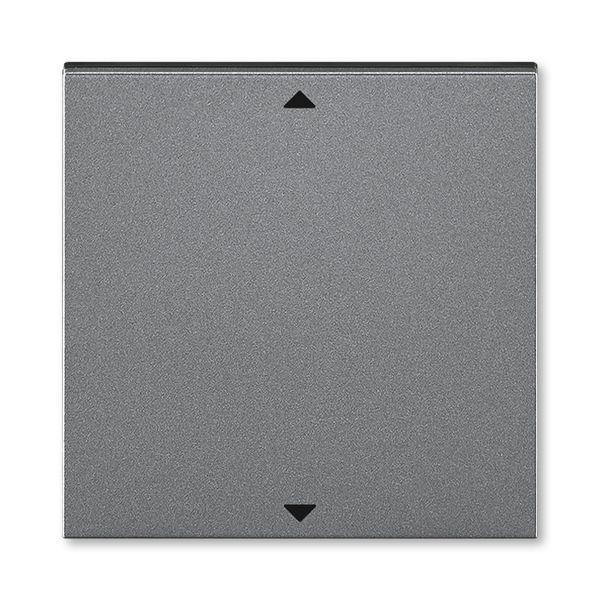  Элемент управляющий Busch-Jalousiecontrol®II ABB Levit с маркировкой сталь / дым. черн. ABB 2CHH700110A4069 