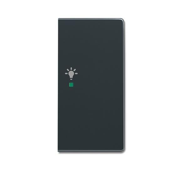  Клавиша двойная SRL-2-R-81 правая free@home освещение future антрацит ABB 2CKA006220A0167 