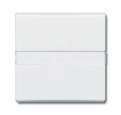  Клавиша Allwetter с полем для надписи альп. бел. (IP44) ABB 2CKA001731A1643 