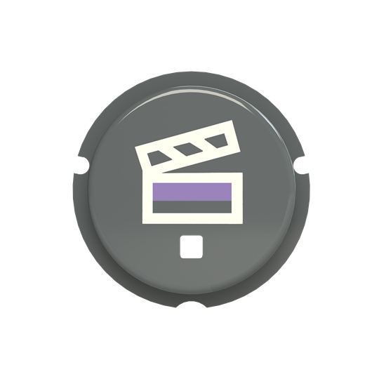  Кнопка "Сцена" SBS-N2GR free@home Zenit сер. ABB 2CLA202630N1402 