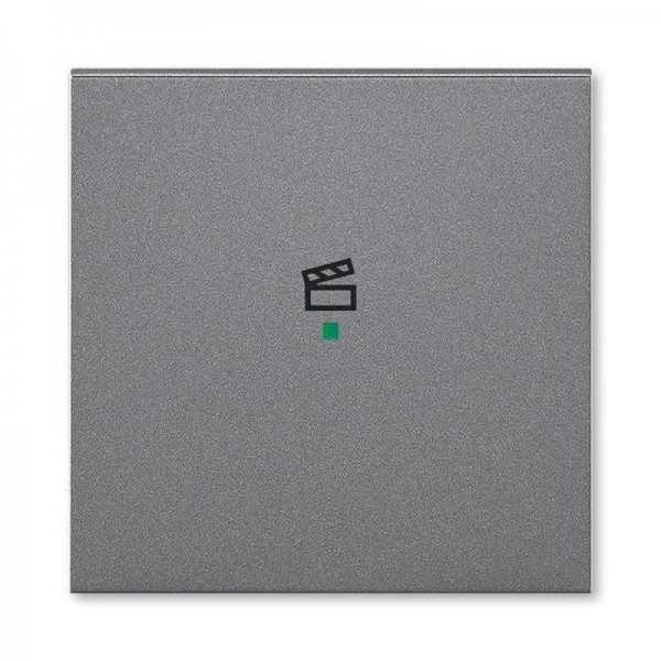  Клавиша Levit одинарная с символом сцены free@home сталь ABB 2CHH621003A4069 