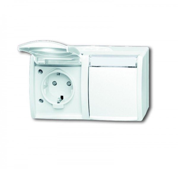  Розетка Schuko 2-м ОП Ocean 16А 250В горизонт. защ. шторки IP44 альп. бел. ABB 2CKA002084A0723 