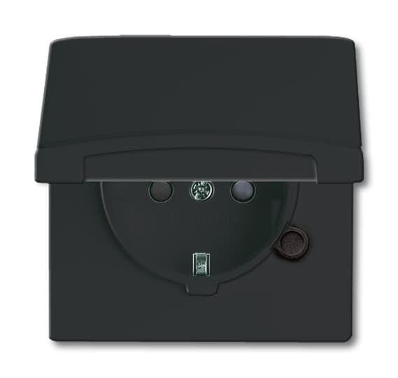  Розетка Schuko Allwetter44 16А 250В 20 EUGKB-35-101 с защ. крышкой защ. шторки (уплот. кольцо в комплекте) IP44 черн./антрацит ABB 2CKA002064A0295 