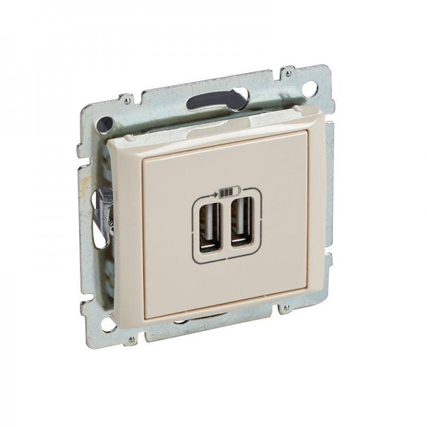  Розетка USB 2-м СП Valena сл. кость Leg 774170 