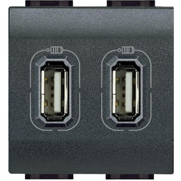  Разъем LL для зарядки 2хUSB антрацит Leg BTC L4285C2 