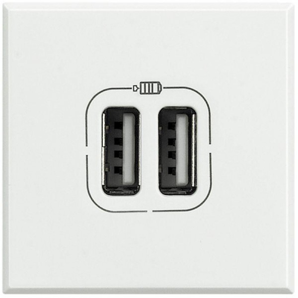  Разъем для зарядки 2хUSB Axolute бел. Leg BTC HD4285C2 